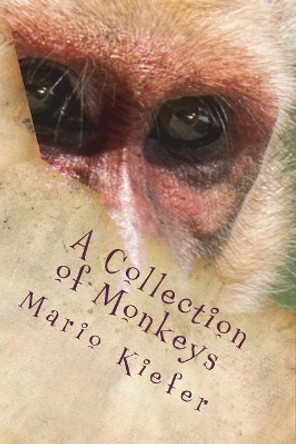 A Collection of Monkeys by Mario Kiefer 9780692151853