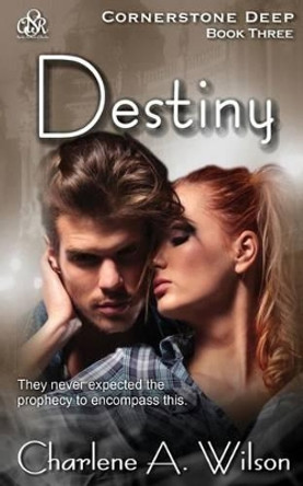 Destiny: Multi-Dimensional Soul Mates by Charlene a Wilson 9780989984652