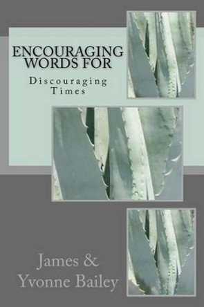 Encouraging Words for Discouraging Times by Dr James Bailey 9780692617892