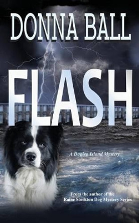 Flash by Donna Ball 9780985774899