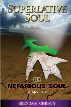 Superlative soul or Nefarious soul by Brenda M Christy 9780989168601