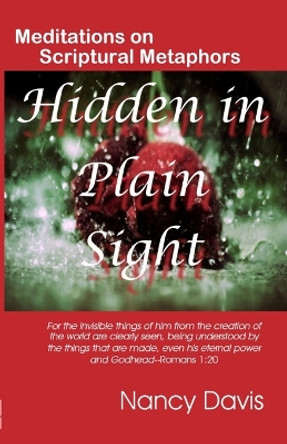 Hidden in Plain Sight by Nancy Davis 9780984710072