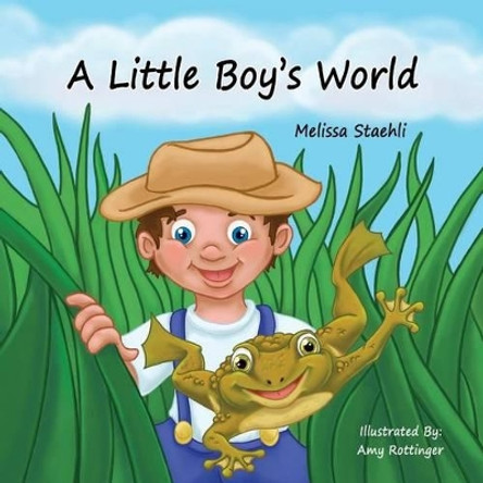 A Little Boy's World by Amy Rottinger 9780997800692