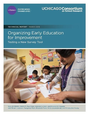 Organizing Early Education for Improvement: Testing a New Survey Tool by Debra M Pacchiano 9780997507379