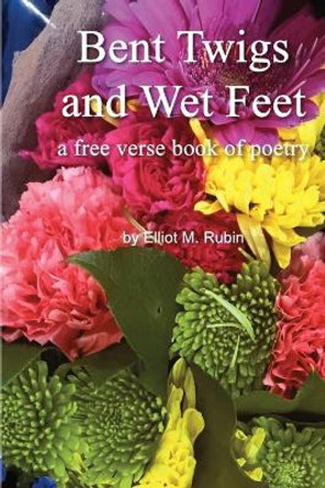 Bent Twigs and Wet Feet: a free verse book of poetry by Elliot M Rubin 9780998179681