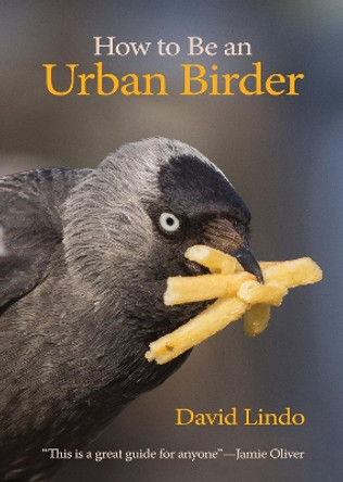 How to Be an Urban Birder by David Lindo 9780691179629