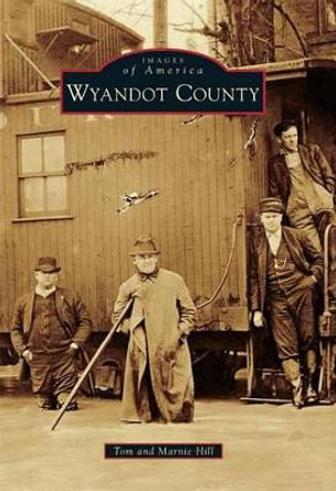 Wyandot County by Tom Hill 9780738582658