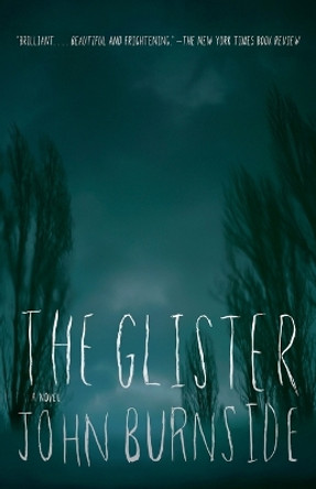 The Glister by John Burnside 9780307455338