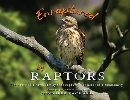 Enraptured by Raptors: The story of a hawk family that captured the heart of a community by Jennifer Packard 9780578737249