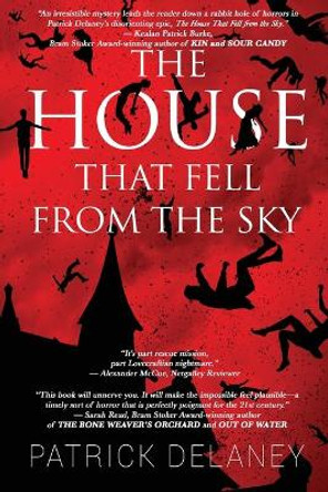 The House that fell from the Sky by Patrick Delaney 9780578660790