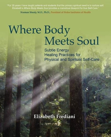 Where Body Meets Soul: Subtle Energy Healing Practices for Physical and Spiritual Self-Care by Elizabeth Rose Frediani 9780615225951