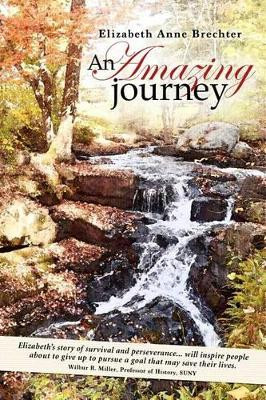 An Amazing Journey by Elizabeth Anne Brechter 9780615922768