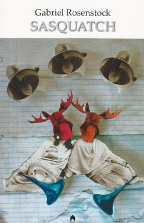Sasquatch by Gabriel Rosenstock 9781851320653