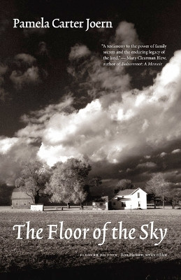 The Floor of the Sky by Pamela Carter Joern 9780803276314