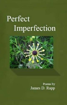 Perfect Imperfection by James D Rapp 9780982850763