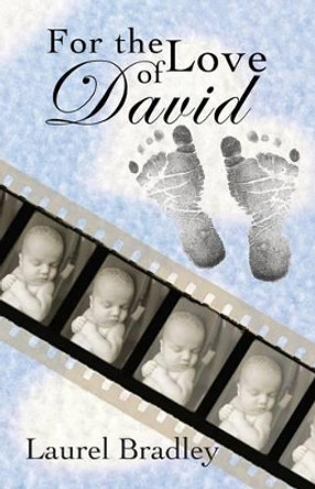 For the Love of David by Laurel Bradley 9780989830317