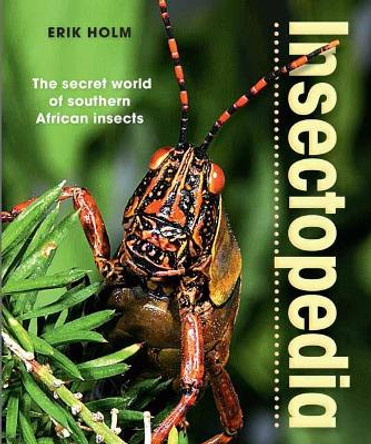 Insectopedia: The secret world of southern African insects by Erik Holm