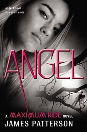 Angel: A Maximum Ride Novel by James Patterson 9780316036207