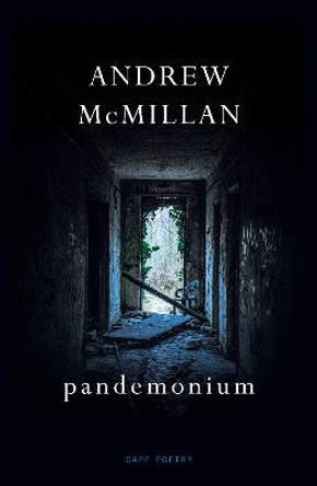 pandemonium by Andrew McMillan