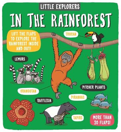 Little Explorers: In the Rainforest by Dynamo Ltd.