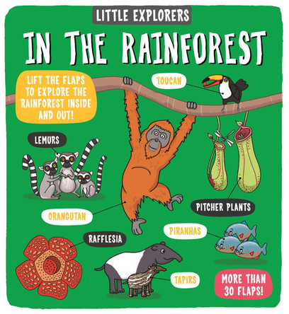 Little Explorers: In the Rainforest by Dynamo Ltd.