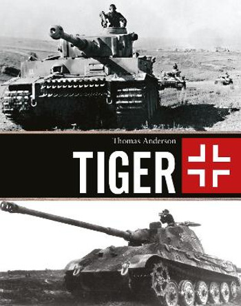 Tiger by Thomas Anderson