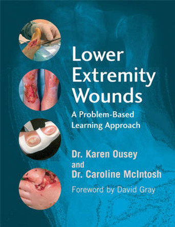 Lower Extremity Wounds: A Problem-Based Approach by Karen Ousey 9780470059081