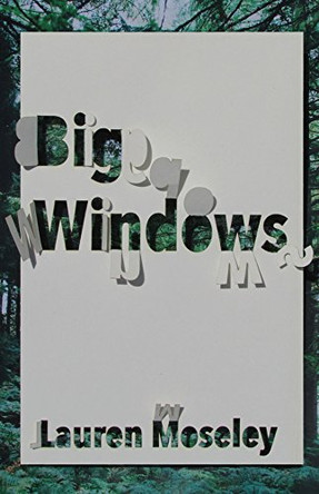 Big Windows by Lauren Moseley 9780887486326