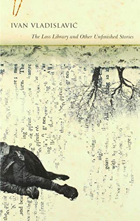 The Loss Library and Other Unfinished Stories by Ivan Vladislavic 9780857425881