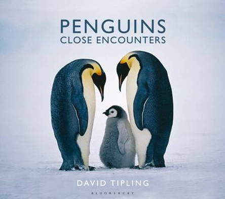 Penguins: Close Encounters by David Tipling 9781472910004