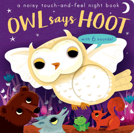 Owl Says Hoot: A noisy touch-and-feel night book by Amanda Enright 9781848574908