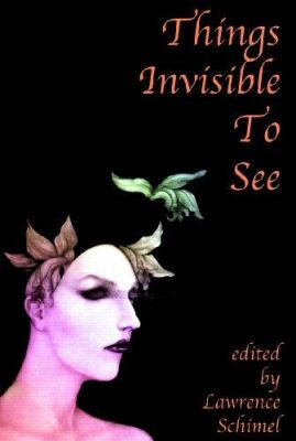 Things Invisible To See by Lawrence Schimel 9781885865229