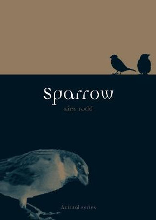 Sparrow by Kim Todd