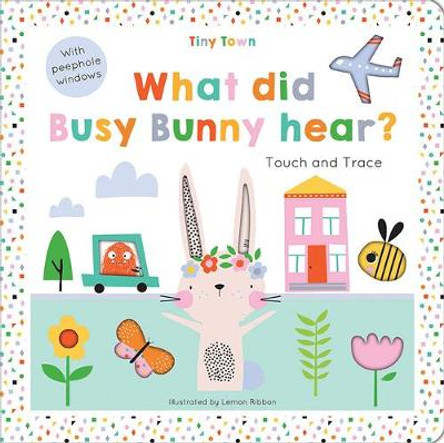 What did Busy Bunny hear? by Oakley Graham 9781787008182