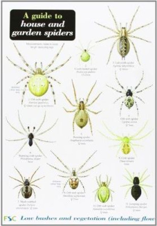 A Guide to House and Garden Spiders by Richard Lewington 9781851538799