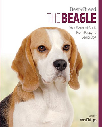 Beagle: Best of Breed by Ann Phillips 9781910488393