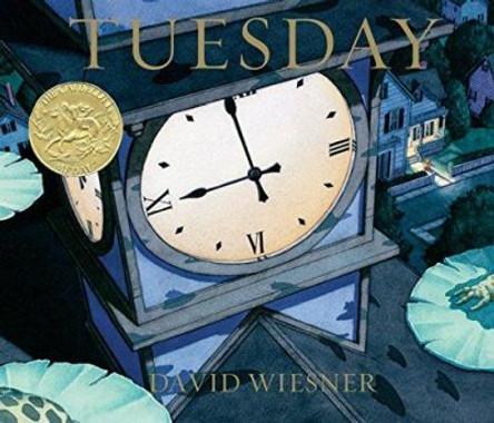 Tuesday by David Wiesner 9780395551134