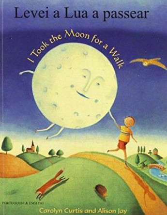 I Took the Moon for a Walk by Alison Jay 9781846113741