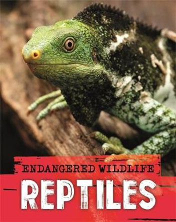 Endangered Wildlife: Rescuing Reptiles by Anita Ganeri 9781526309938