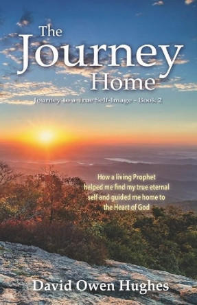The Journey Home by Del Hall 9780998221885