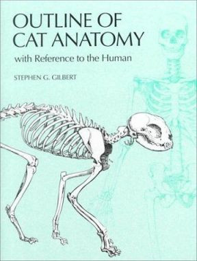 Outline of Cat Anatomy with Reference to the Human by Stephen G. Gilbert 9780295978185