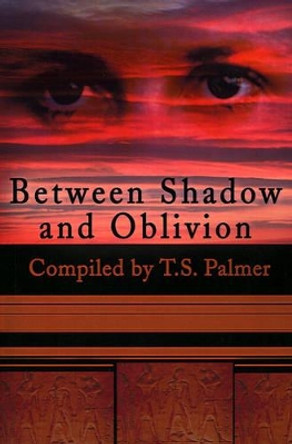 Between Shadow and Oblivion by T S Palmer 9780595198221
