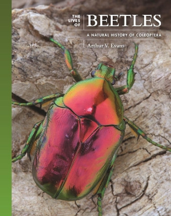 The Lives of Beetles: A Natural History of Coleoptera by Arthur V. Evans 9780691236513