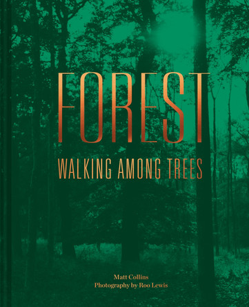 Forest: Walking among trees by Matt Collins