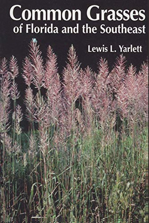Common Grasses of Florida & The Southeast by Lewis L. Yarlett 9781885258052