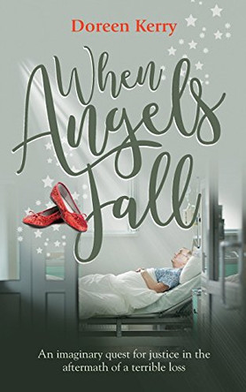 When Angels Fall: An imaginary quest for justice in the aftermath of a terrible loss by Doreen Kerry 9781861518880