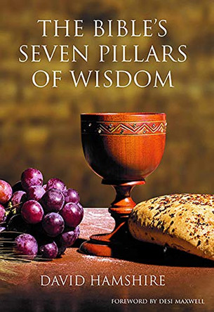 The Bible's 7 Pillars of Wisdom by David Hamshire 9781910942796