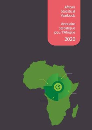African statistical yearbook 2020 by United Nations: Economic Commission for Africa 9789211251418