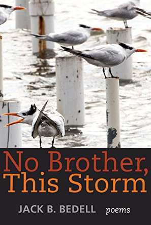 No Brother, This Storm: Poems by Jack B. Bedell 9780881466751