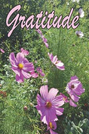 Gratitude by Lorraine Crawley 9781073002092